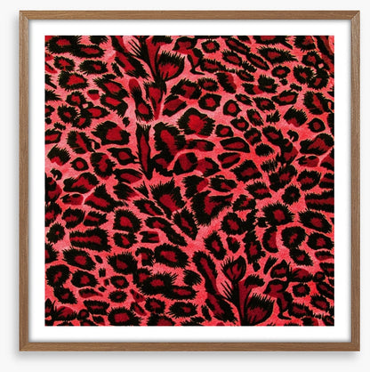 Hot pink leopard