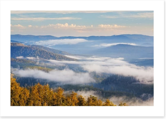Hartz Mountains National Park, Tasmania