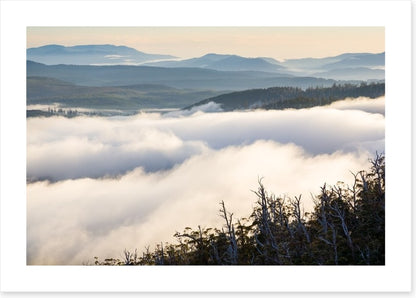 Tasmania