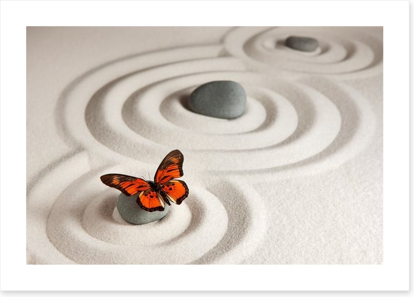 Zen stones with butterfly