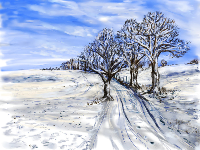Winter