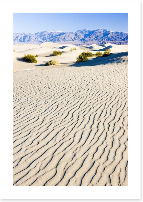 Desert