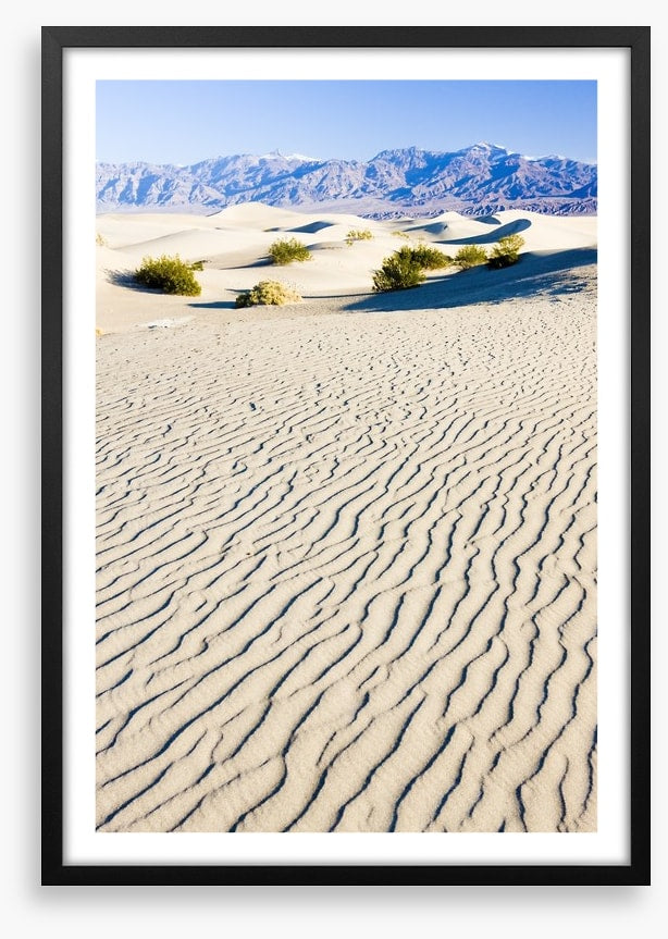 Desert