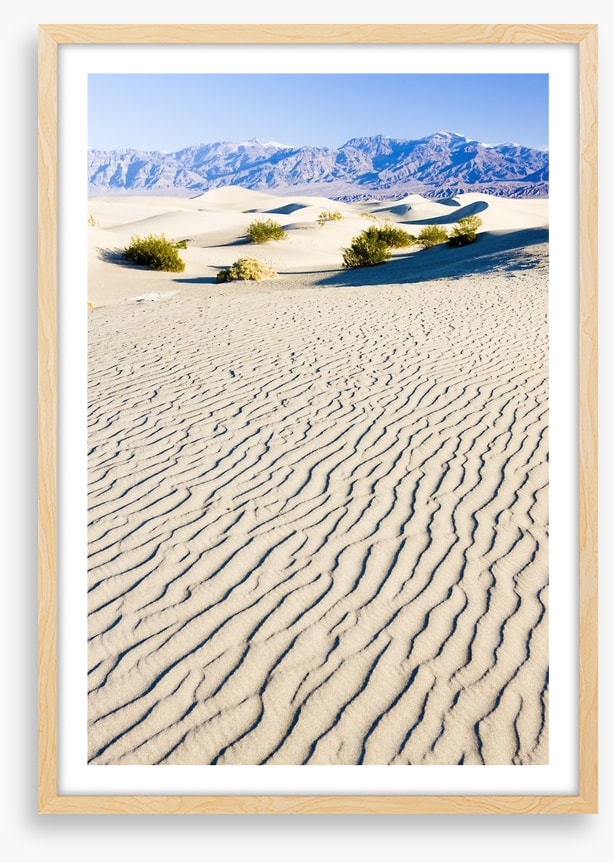 Desert