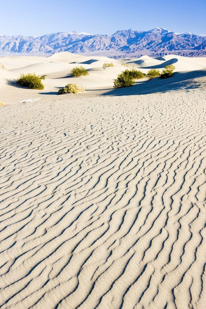 Desert
