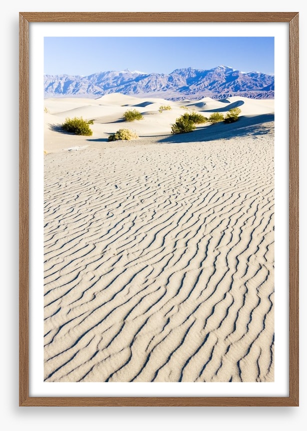 Desert