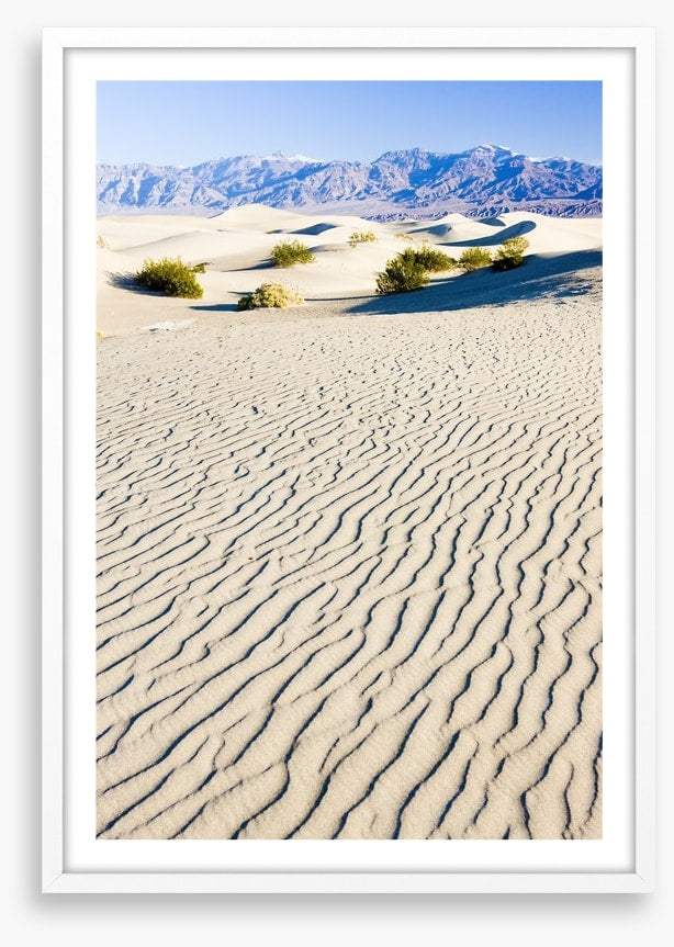 Desert