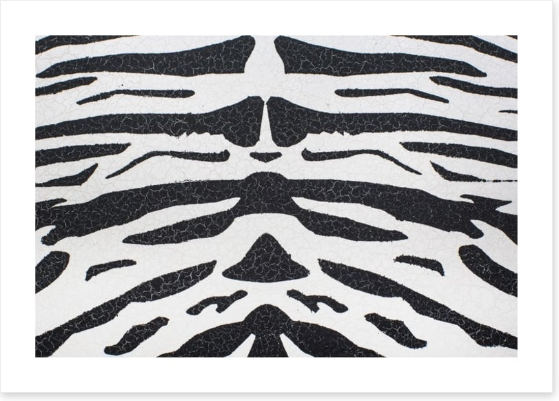 Animal Print