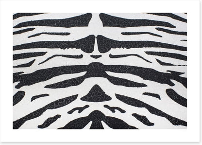 Animal Print