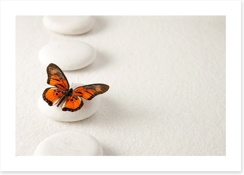 White stones and butterfly