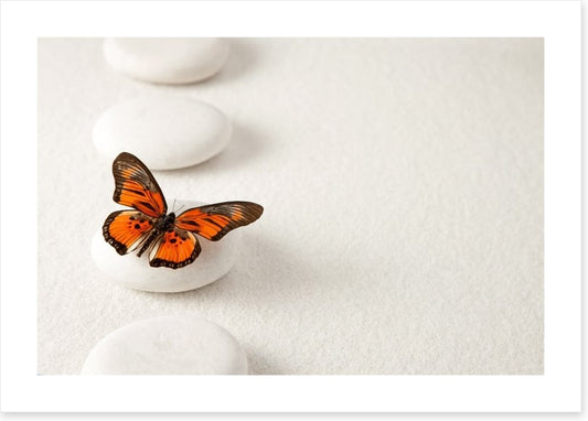 White stones and butterfly