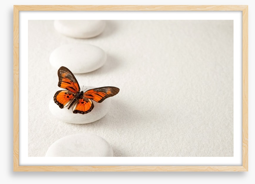 White stones and butterfly