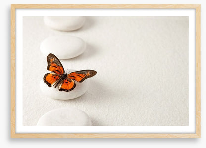 White stones and butterfly