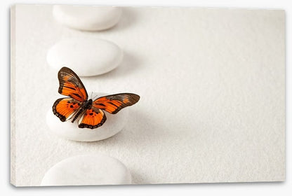 White stones and butterfly
