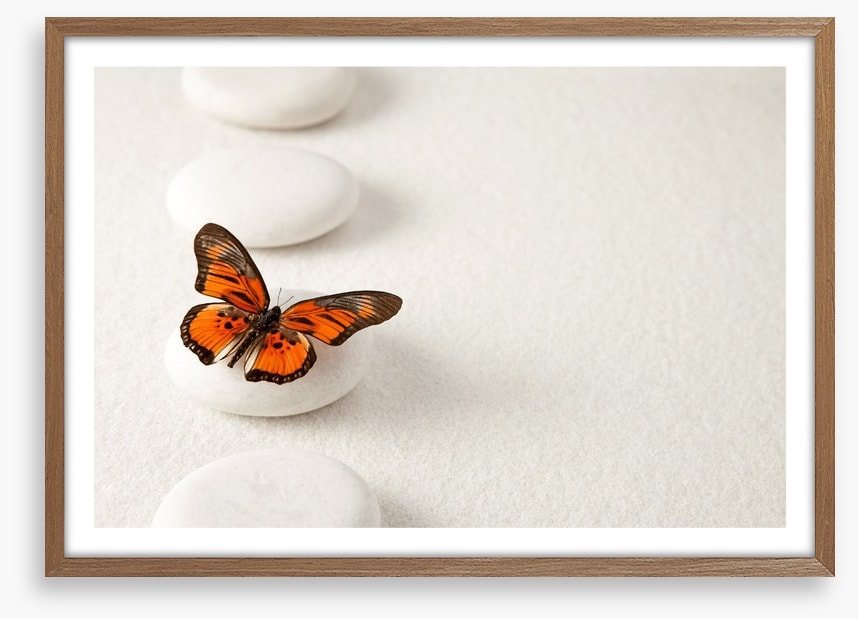 White stones and butterfly