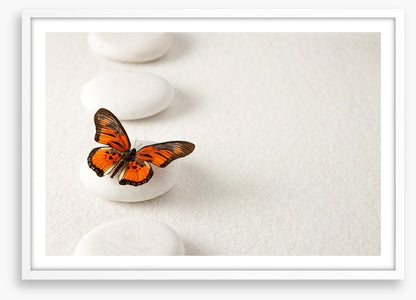 White stones and butterfly