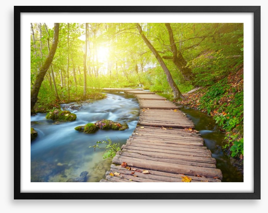 Boardwalk through the forest