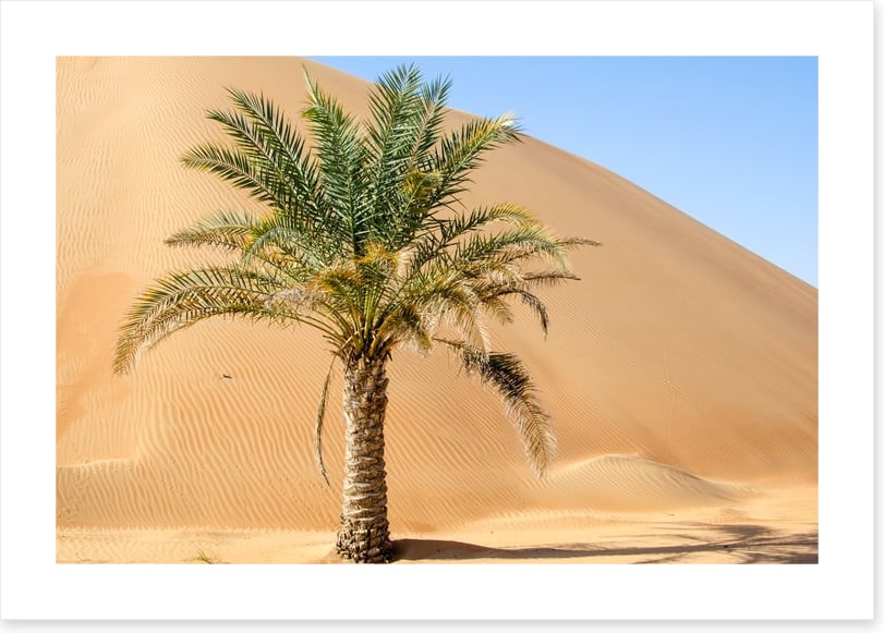 Desert