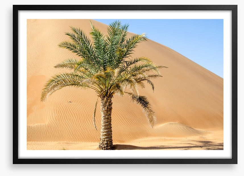 Desert