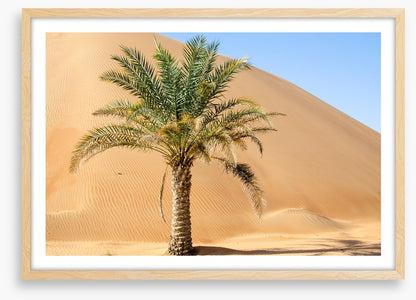 Desert