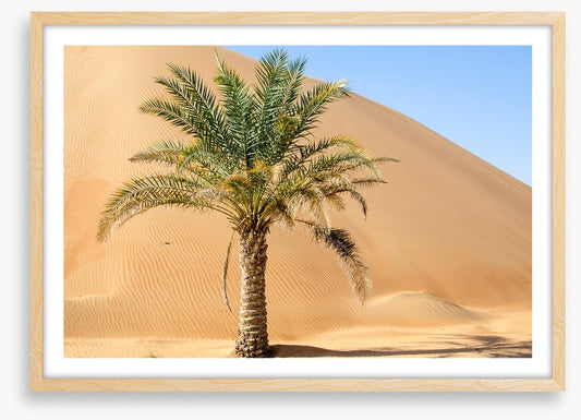Desert