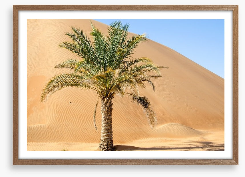 Desert