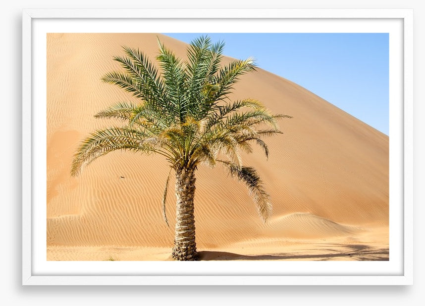 Desert