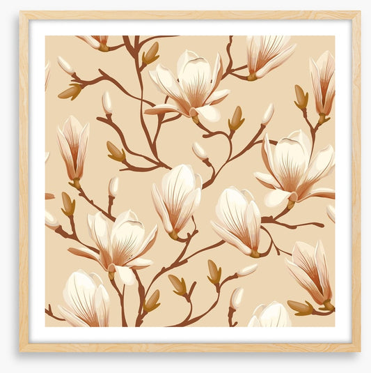 Magnolia climb