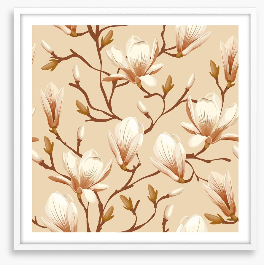 Magnolia climb
