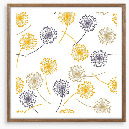 Drifting dandelions