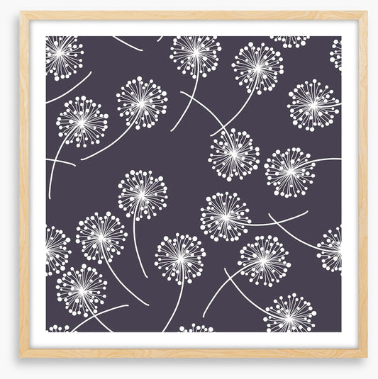 Drifting dandelions