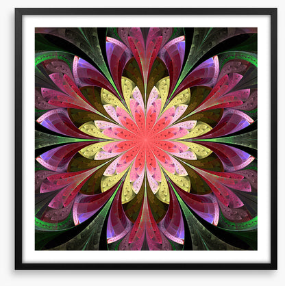 Stained Glass
