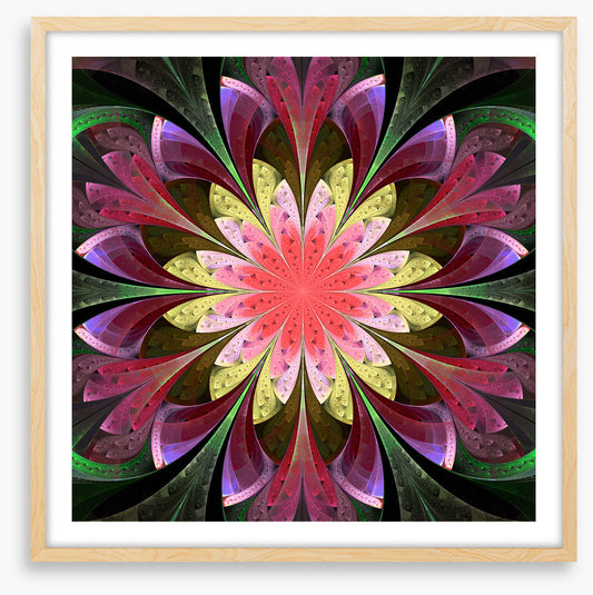 Stained Glass