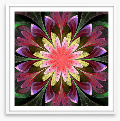 Stained Glass