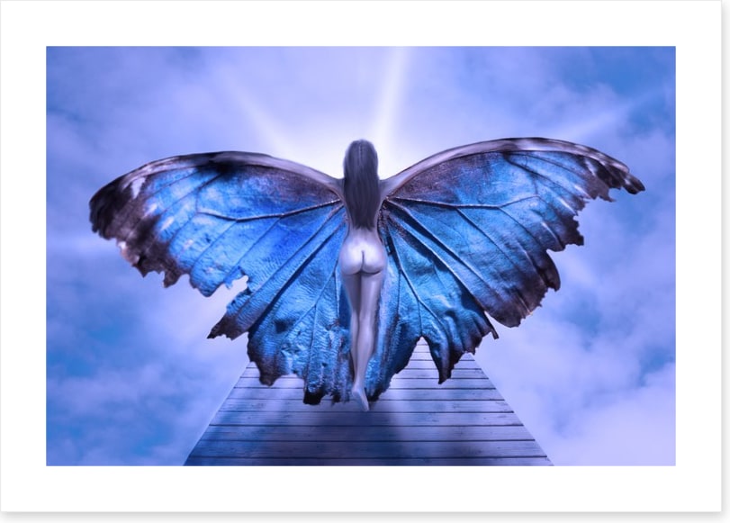 Metamorphosis