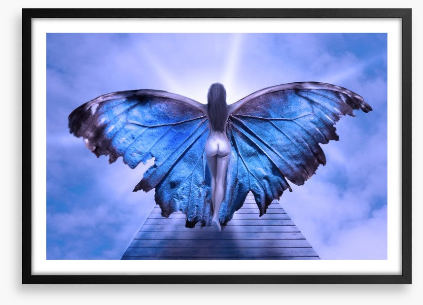 Metamorphosis