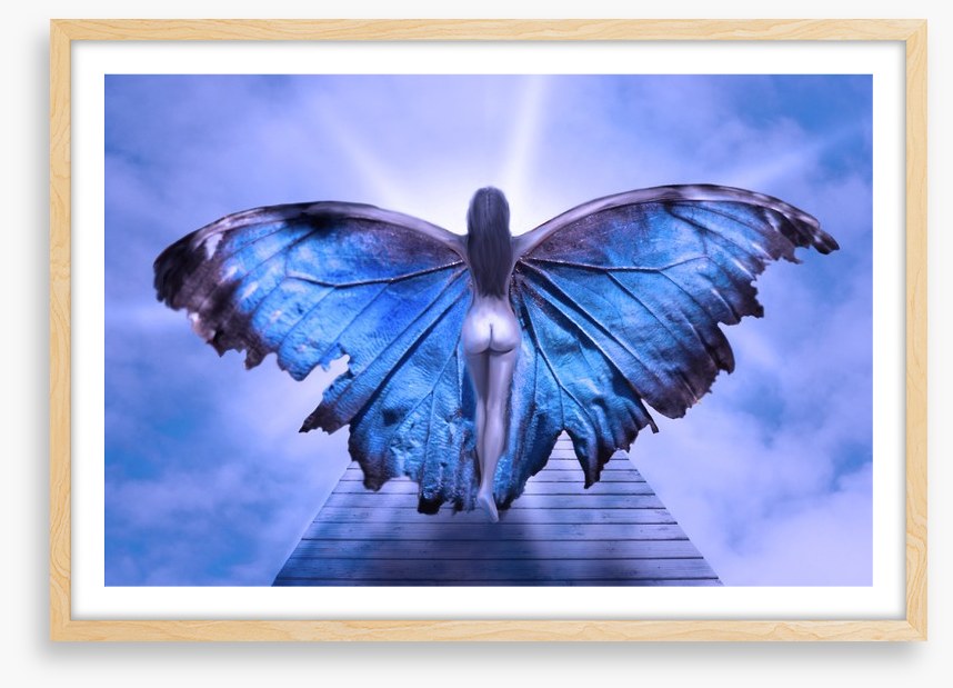 Metamorphosis