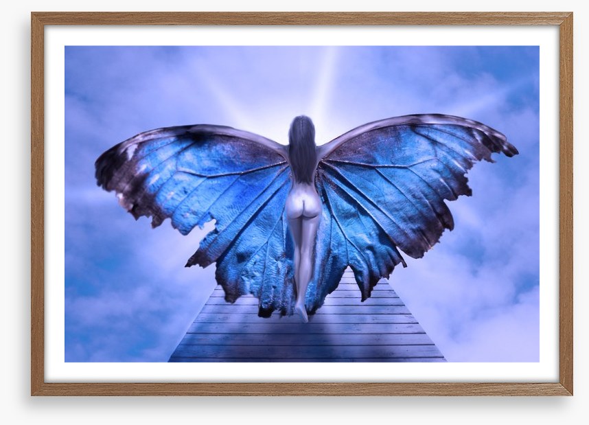 Metamorphosis