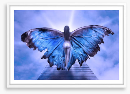 Metamorphosis
