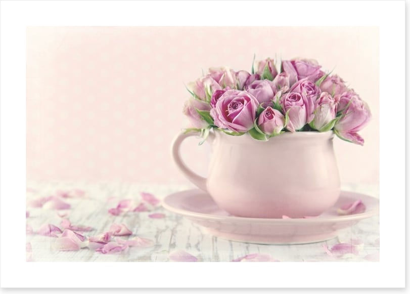 Antique roses