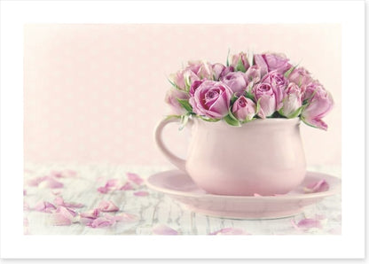 Antique roses