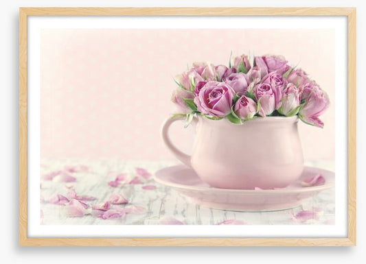 Antique roses