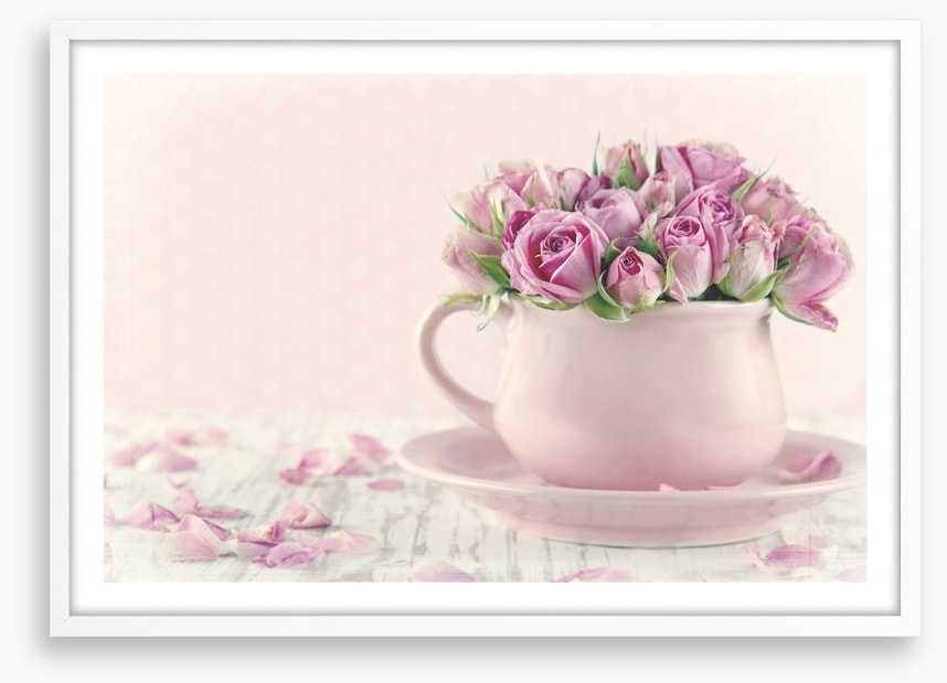 Antique roses