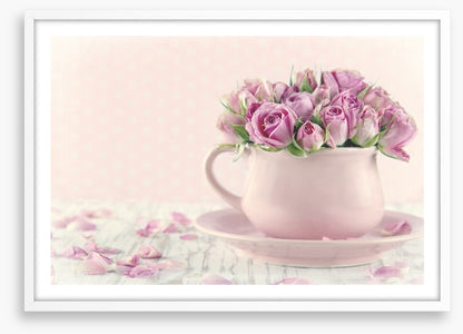 Antique roses