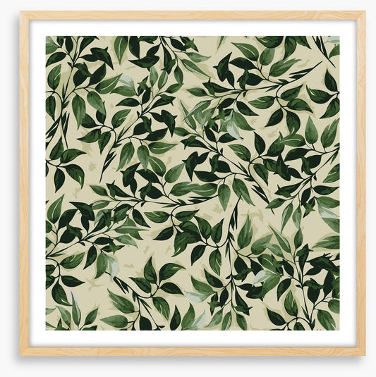 Leaf