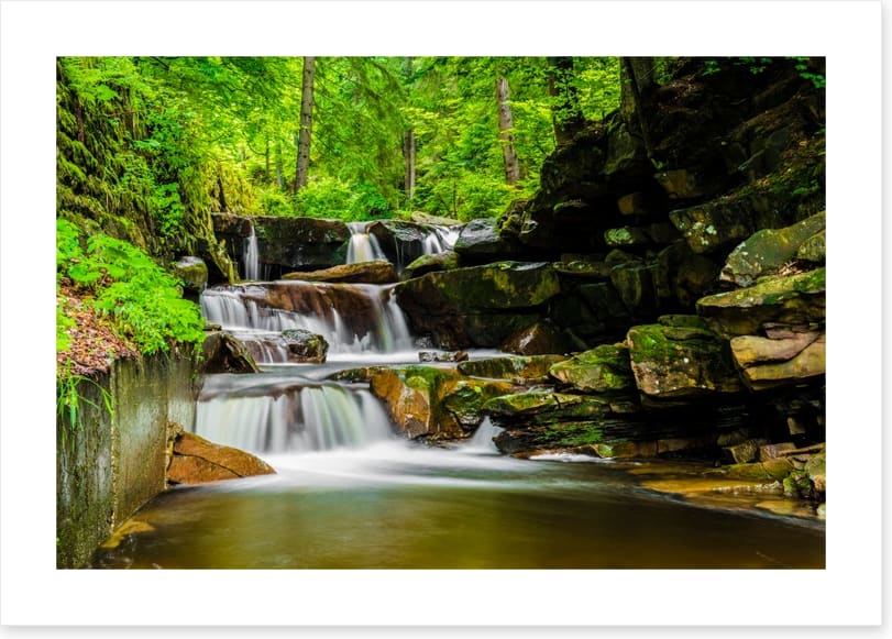 Green forest falls