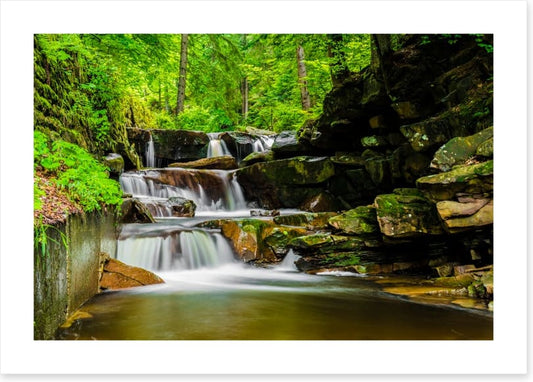 Green forest falls