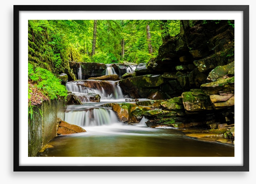 Green forest falls