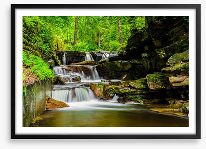 Green forest falls