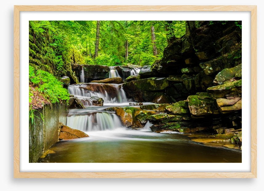 Green forest falls